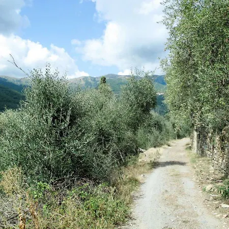 Holiday home Locazione Turistica Casa Sole *